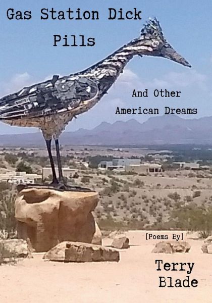 Gas Station Dick Pills And Other American Dreams