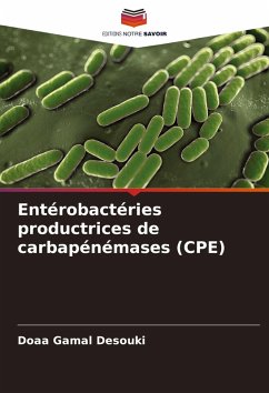 Cover Entérobactéries productrices de carbapénémases (CPE)