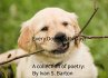 Every Dog Has Its Day! (eBook, ePUB) - Bild 1