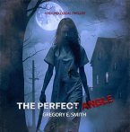 THE PERFECT ANGLE (eBook, ePUB)