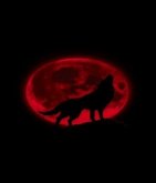 The Wolf (eBook, ePUB) The Wolf (eBook, ePUB)