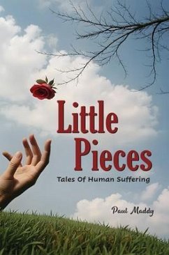 Cover Little Pieces (eBook, ePUB)
