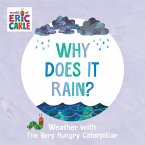 Why Does It Rain? (eBook, ePUB)