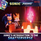Sonic's Introduction to the Shatterverse (eBook, ePUB)