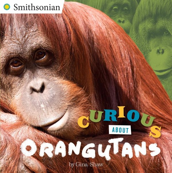 Curious About Orangutans (eBook, ePUB)