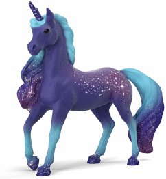 Cover Galaxy Regenbogen Einhorn Hengst