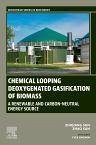 Cover Chemical Looping Deoxygenated Gasification of Biomass