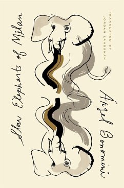 Cover The Slow Elephants of Milan