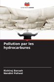 Pollution par les hydrocarbures