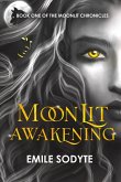 Moonlit Awakening Moonlit Awakening