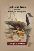 Ducks and Geese