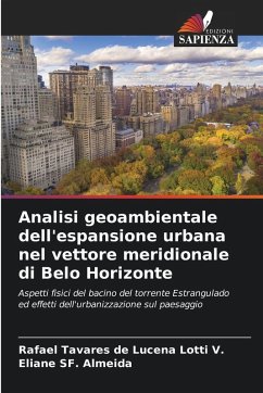 Cover Analisi geoambientale dell'espansione urbana nel vettore meridionale di Belo Horizonte