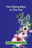 The Flying Boys in the Sky The Flying Boys in the Sky