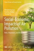 Social-Economic Impacts of Air Pollution (eBook, PDF)