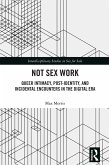 Not Sex Work (eBook, ePUB)