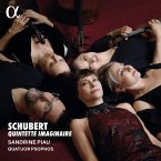 Schubert: Quintette Imaginaire