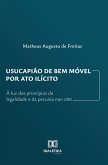 Usucapião de Bem Móvel por Ato Ilícito (eBook, ePUB)