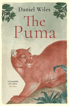 Cover The Puma (eBook, ePUB)