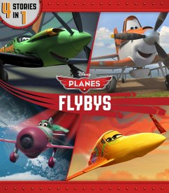 Planes Flybys (eBook, ePUB) Cover Planes Flybys (eBook, ePUB)