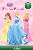 What Is a Princess? (Disney Princess) (eBook, ePUB)