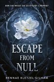 Escape from Null (eBook, ePUB)
