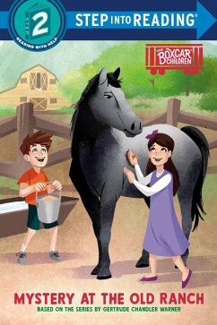 Cover Mystery at the Old Ranch (eBook, ePUB)