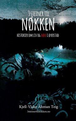 3 steiner til nøkken (eBook, ePUB)