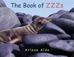 Cover The Book of ZZZs (eBook, ePUB)