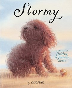Cover Stormy (eBook, ePUB)