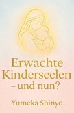 Erwachte Kinderseelen - und nun?