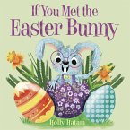 If You Met the Easter Bunny (eBook, ePUB)