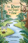 The River That Forgot to Flow (eBook, ePUB) The River That Forgot to Flow (eBook, ePUB)