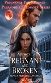 Pregnant And Broken (eBook, ePUB)