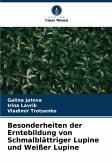 Besonderheiten der Erntebildung von Schmalblättriger Lupine und Weißer Lupine Besonderheiten der Erntebildung von Schmalblättriger Lupine und Weißer Lupine