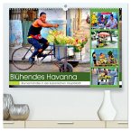 Blühendes Havanna - Blumenhändler in der kubanischen Hauptstadt (hochwertiger Premium Wandkalender 2026 DIN A2 quer), Kunstdruck in Hochglanz Blühendes Havanna - Blumenhändler in der kubanischen Hauptstadt (hochwertiger Premium Wandkalender 2026 DIN A2 quer), Kunstdruck in Hochglanz