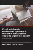 Przekszta¿canie elektrowni opalanych olejem w elektrownie opalane w¿glem i gazem
