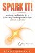 SPARK IT! - Bild 1