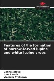 Features of the formation of narrow-leaved lupine and white lupine crops Features of the formation of narrow-leaved lupine and white lupine crops