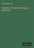 Description of a Species of Caligus, C. Americanus