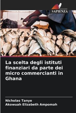 Cover La scelta degli istituti finanziari da parte dei micro commercianti in Ghana
