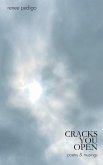 Cracks You Open Cracks You Open