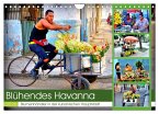 Blühendes Havanna - Blumenhändler in der kubanischen Hauptstadt (Wandkalender 2026 DIN A4 quer), CALVENDO Monatskalender Blühendes Havanna - Blumenhändler in der kubanischen Hauptstadt (Wandkalender 2026 DIN A4 quer), CALVENDO Monatskalender