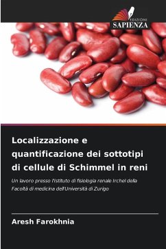Cover Localizzazione e quantificazione dei sottotipi di cellule di Schimmel in reni