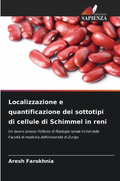 Localizzazione e quantificazione dei sottotipi di cellule di Schimmel in reni