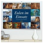 Eulen im Einsatz - 365 Tage voller schräger Federführung (hochwertiger Premium Wandkalender 2026 DIN A2 quer), Kunstdruck in Hochglanz Eulen im Einsatz - 365 Tage voller schräger Federführung (hochwertiger Premium Wandkalender 2026 DIN A2 quer), Kunstdruck in Hochglanz