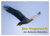 Die Vogelwelt der Äußeren Hebriden (Wandkalender 2026 DIN A2 quer), CALVENDO Monatskalender