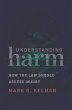 Understanding Harm (eBook, ePUB) - Bild 1