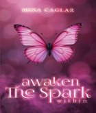 AWAKEN THE SPARK WITHIN (eBook, ePUB)