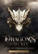 Dragons in Secret - Seele aus schwarzem... - Bild 1