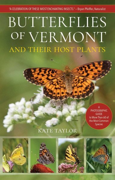 Butterflies of Vermont (eBook, ePUB) Butterflies of Vermont (eBook, ePUB)